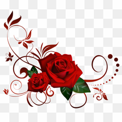 Red rose, Rose, Rose Corner s, love, flower Arranging, presentation png