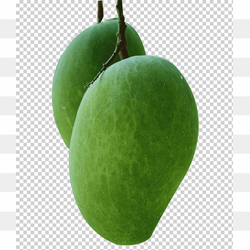 Green mango recogiendo mango