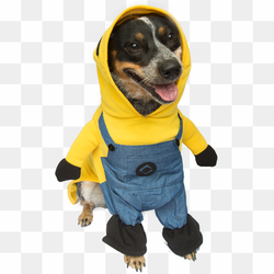 Halloween Costumes Dogs Transparent PNG