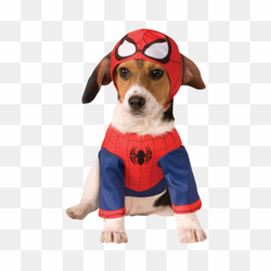 Halloween Costumes Dogs PNG Transparent