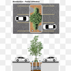 Parking Lot PNG Photo