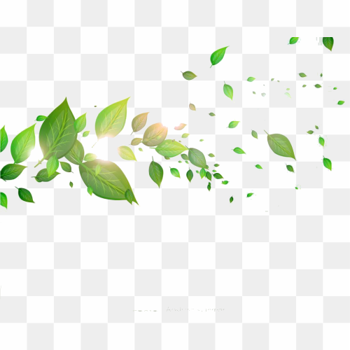 Image Number 1