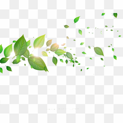 Image Number 1