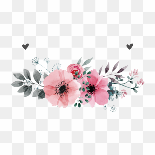 Image Number 6