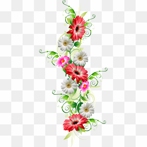 Image Number 8