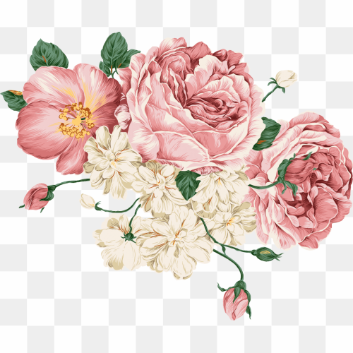 Image Number 9