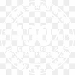 100 Off PNG