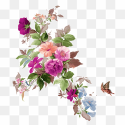 Frame Flower PNG Image