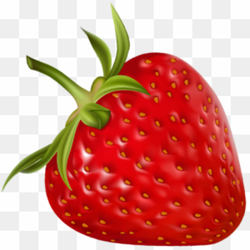 Strawberry red fruit