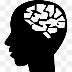 A draw for a Human brain 