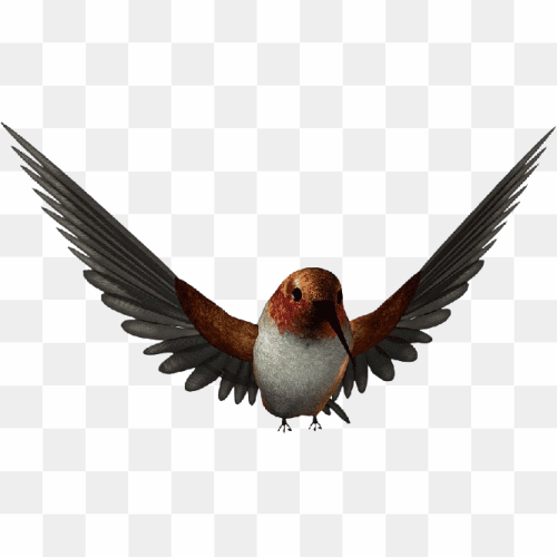 Transperent Animal image 22