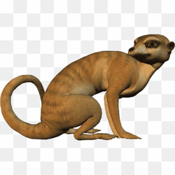 Transparent Animal image 27
