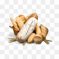 Bread of Many Kinds