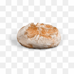 One Fresh Bagel