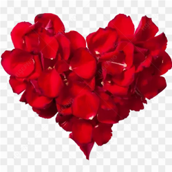 Heart Rose PNG Clipart