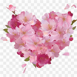Rose Heart PNG HD