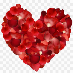 Rose Heart PNG Picture