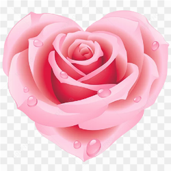 Rose Heart PNG Transparent