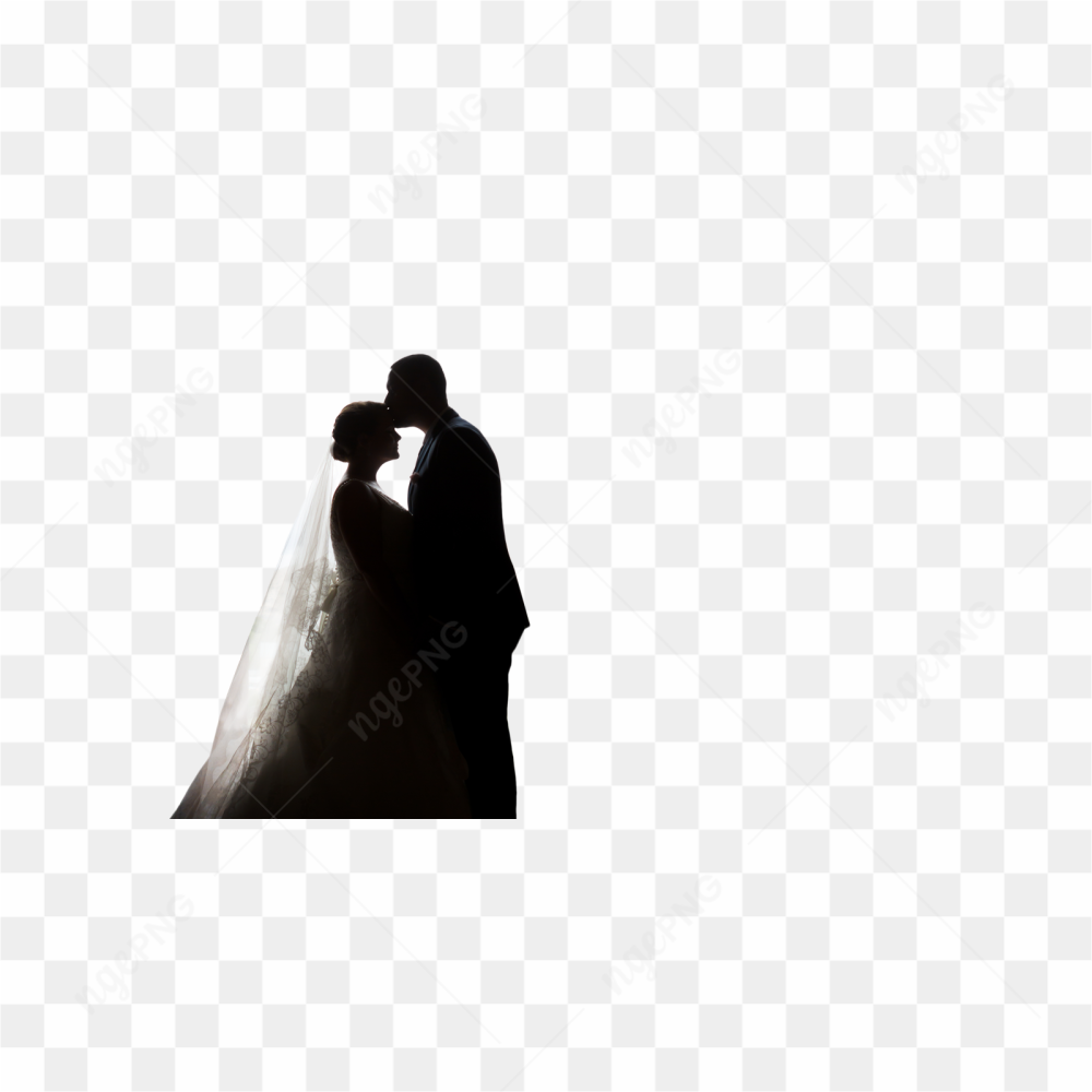 Wedding Couple Transparent Background