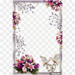 Wedding Frame PNG Transparent Background