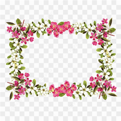 Wedding Floral Border PNG File