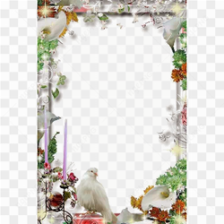 Wedding Frame PNG Transparent File
