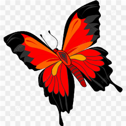 A flying butter fly