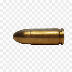 A guns bullet