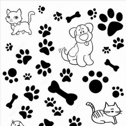 Patas de gato e cachorro