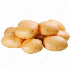 Alimentao saudvel sempre