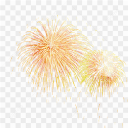 Firework fire newyear