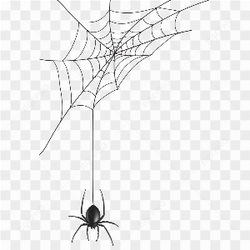Spider web black cartoon