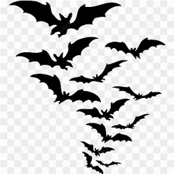 Black vector bats