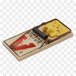 Wood mouse trap