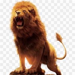 Realistic orange lion