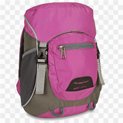 Bag travel pink