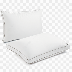 Best sleep pillow