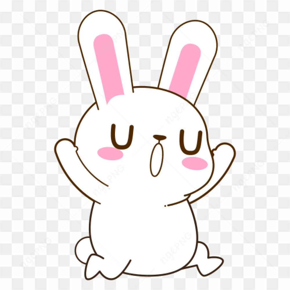 Cute rabbit funny 