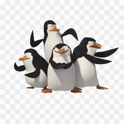 PENGUIN GANG CARTOON