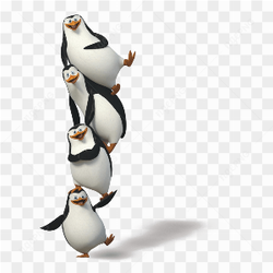 PENGUIN CARTOON SILLY