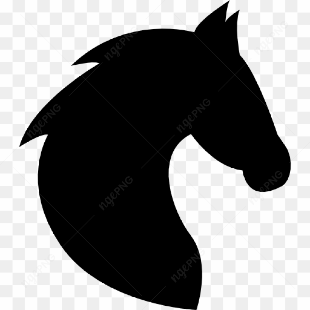 Black head horse