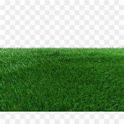 Graphy of green grass