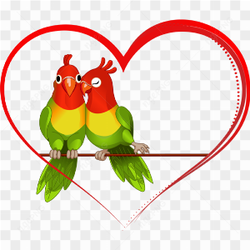 Lovebirds inside the heart