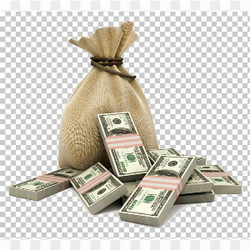 Money bag with money