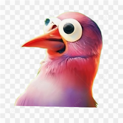 Funny Bird KC