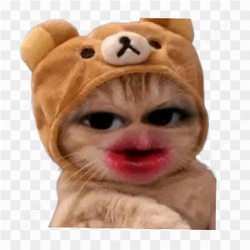 Lovely heart Cat