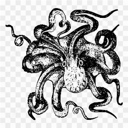 Black draw octopus 