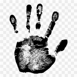 Human black fingerprints 