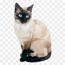 Calor cat cute 