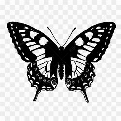 Borboleta black and white